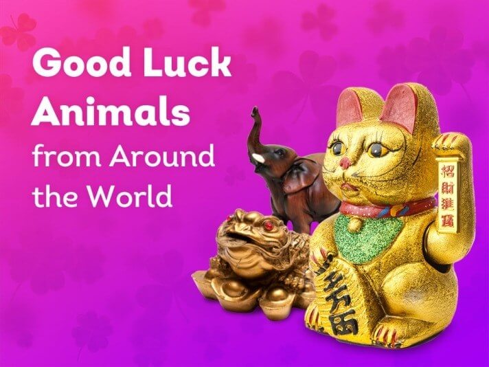 Good Luck Animals Lucky Pants Bingo